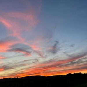 Meet your Posher, Alexia